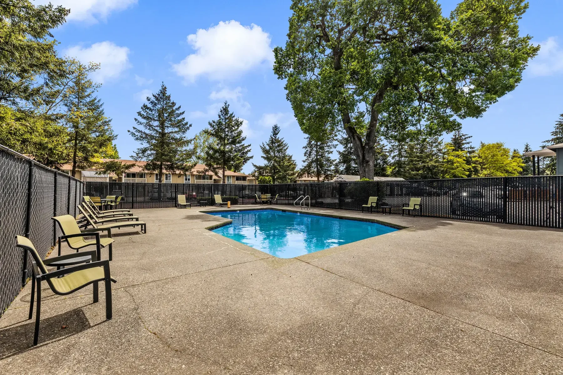 Fenced pool with deck chairs and large trees